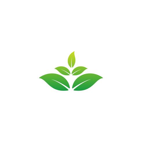 natuur blad logo ontwerp vector illustratie pictogram element
