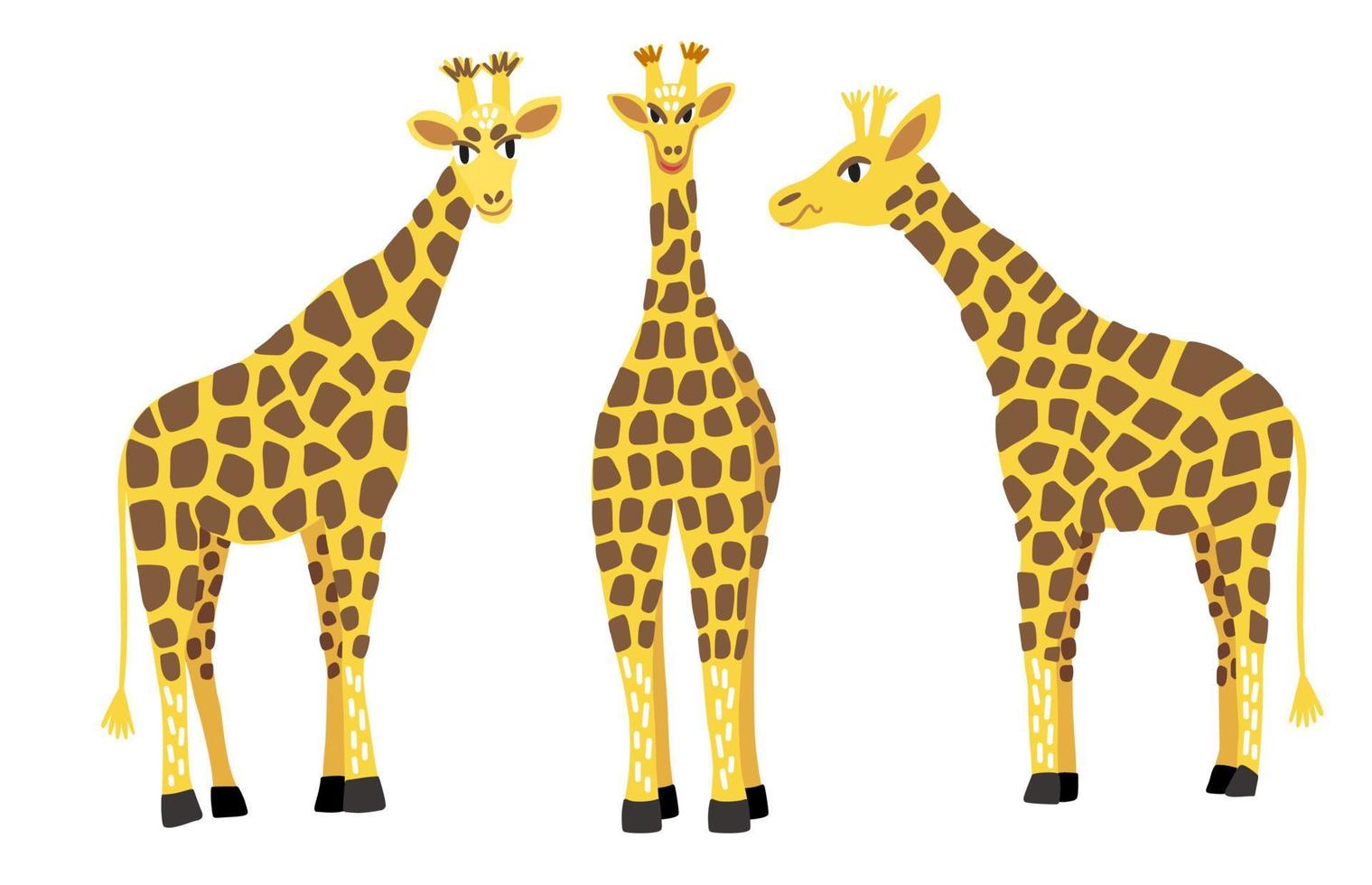 een verzameling giraffen in verschillende poses vector