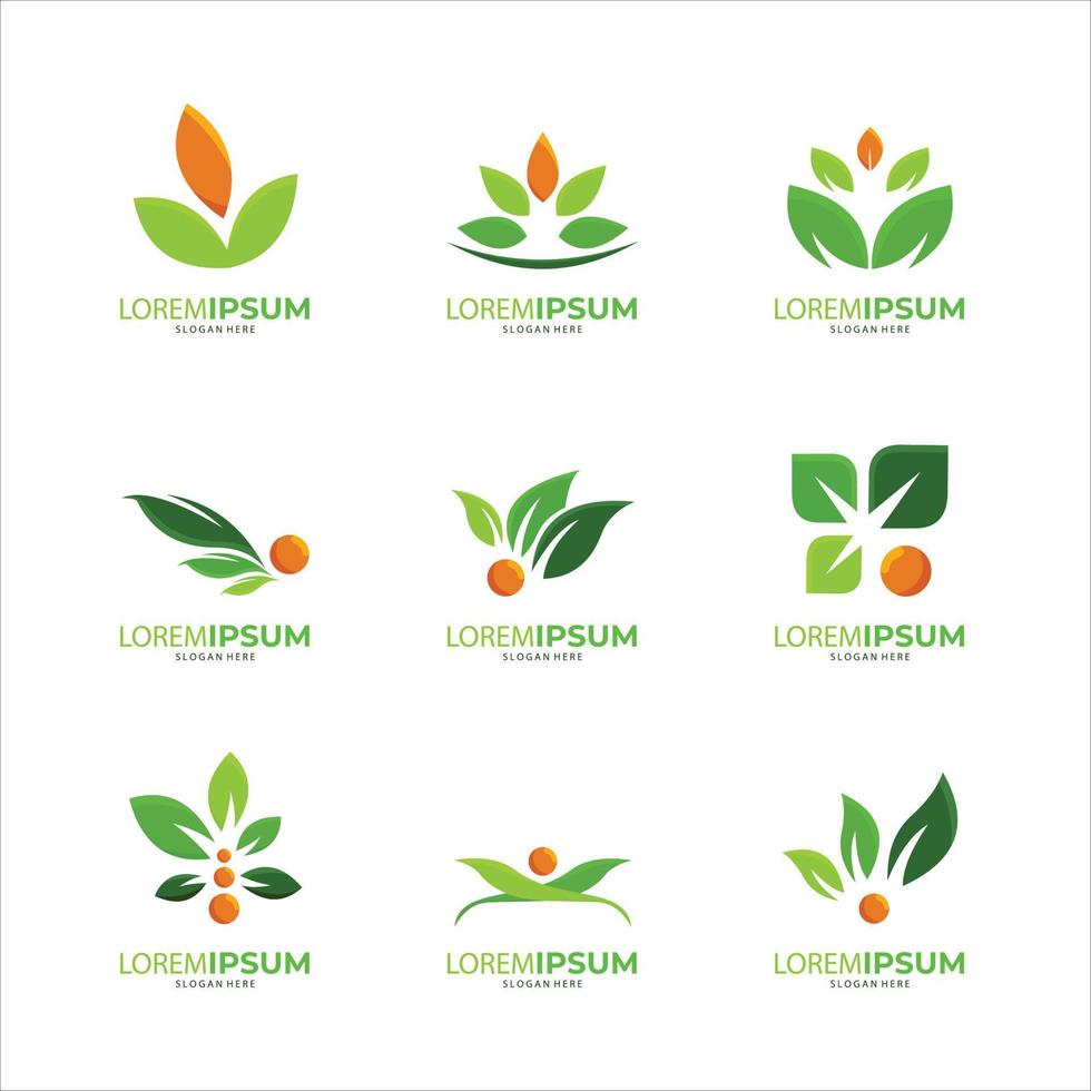 natuur creatief symbool organisch concept. bladpictogram, huisstijllogotype, bedrijfscollectie voor grafisch ontwerp vector