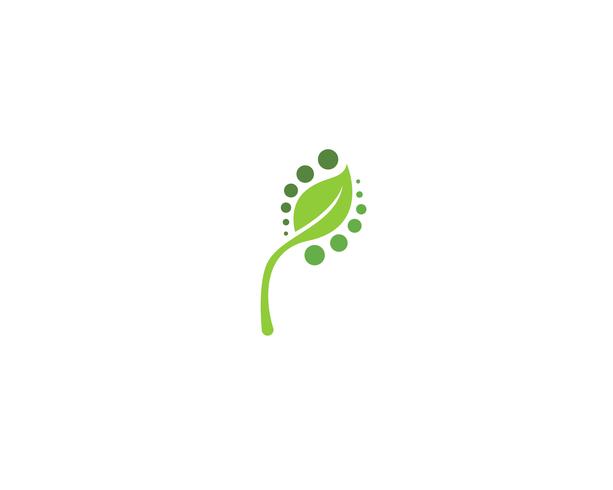 groene blad ecologie natuur element vector iconen