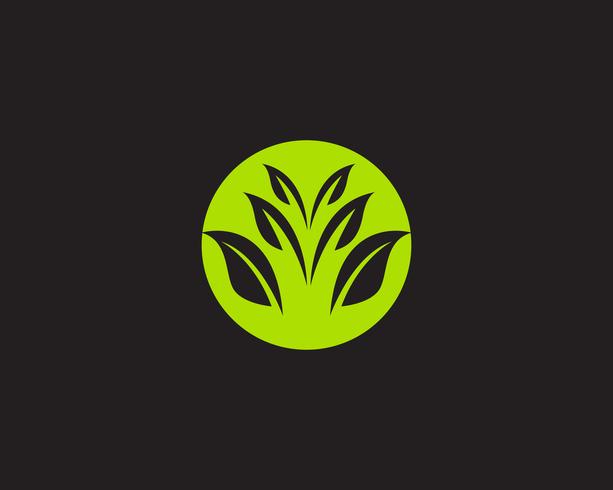 Logo&#39;s groene blad ecologie natuurelement vector pictogram
