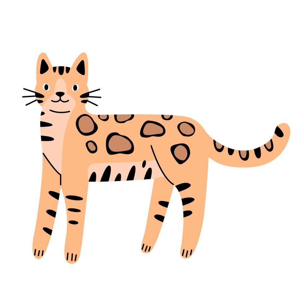 Bengaalse schattige kat in platte cartoonstijl. vectorillustratie geïsoleerd op een witte achtergrond. vector