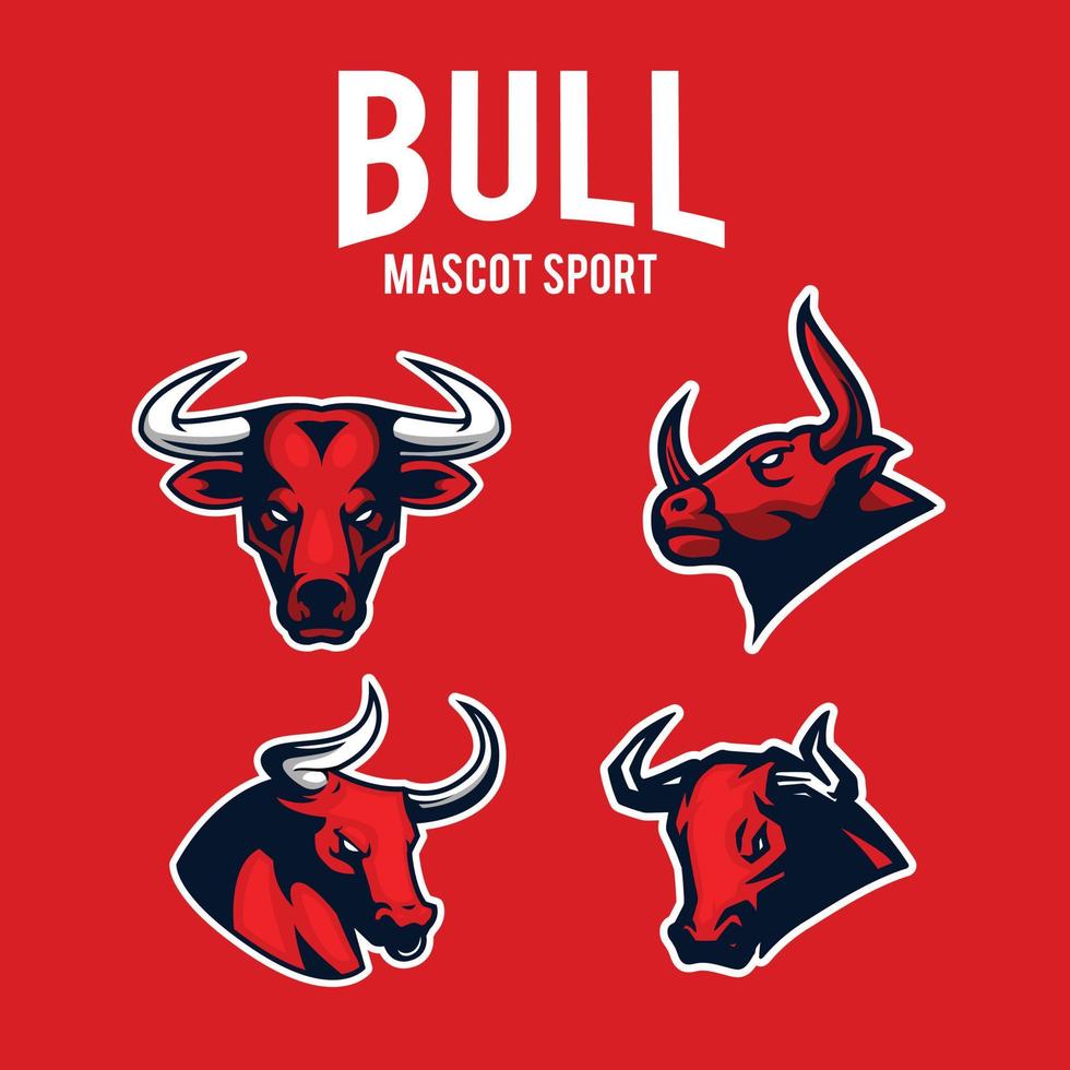 stier sport logo vector