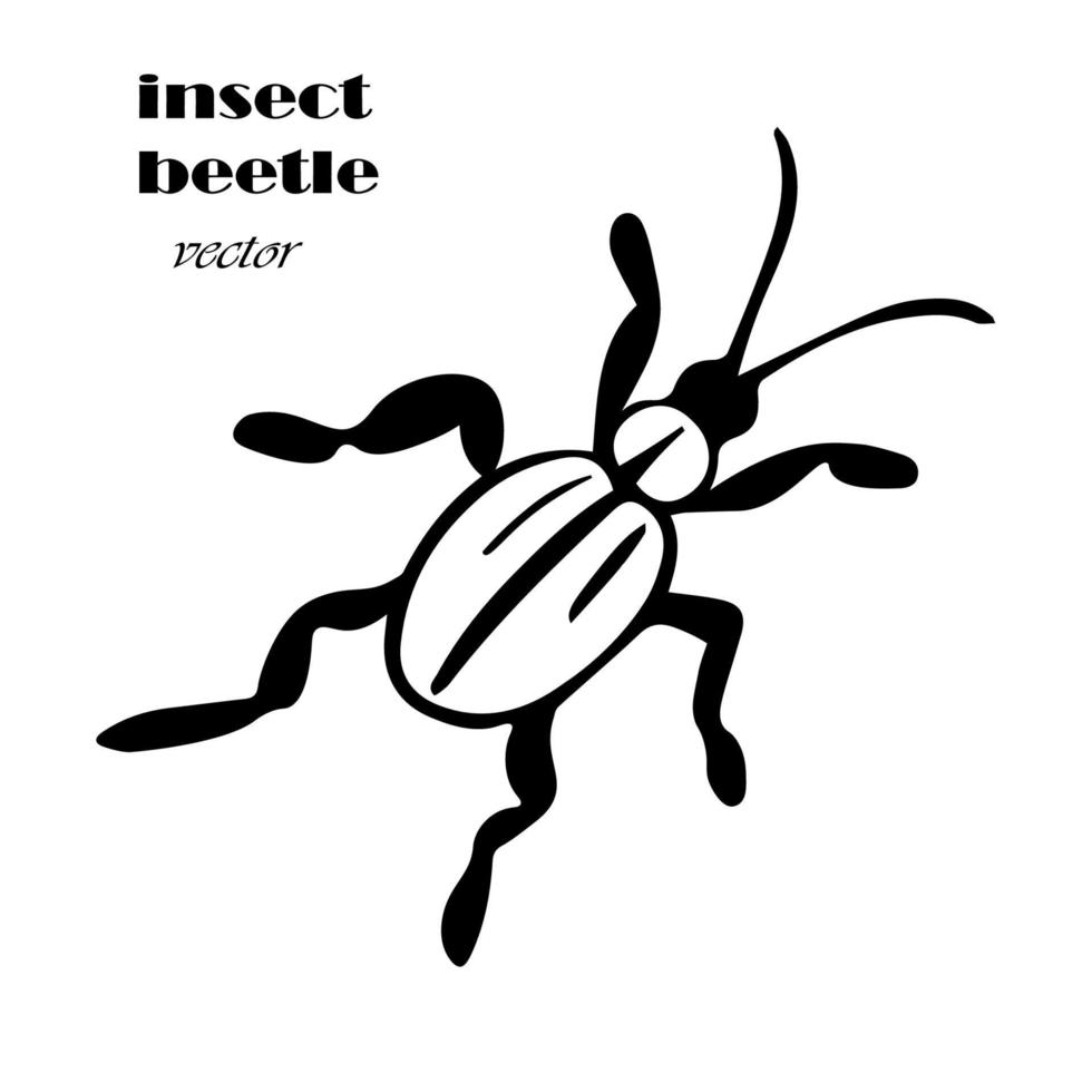 Email schrijven Dokter Mauve doodle stijl kever. vector zwart insect in de stijl van doodles. eenvoudige  textuur met insecten, kevers, parasieten, ongedierte. handgetekende schets.  bovenaanzicht 6127046 - Download Free Vectors, Vector Bestanden, Ontwerpen  Templates