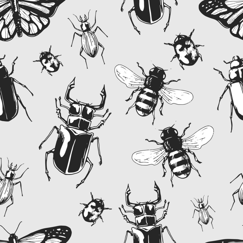 insecten naadloze patroon achtergrond vector