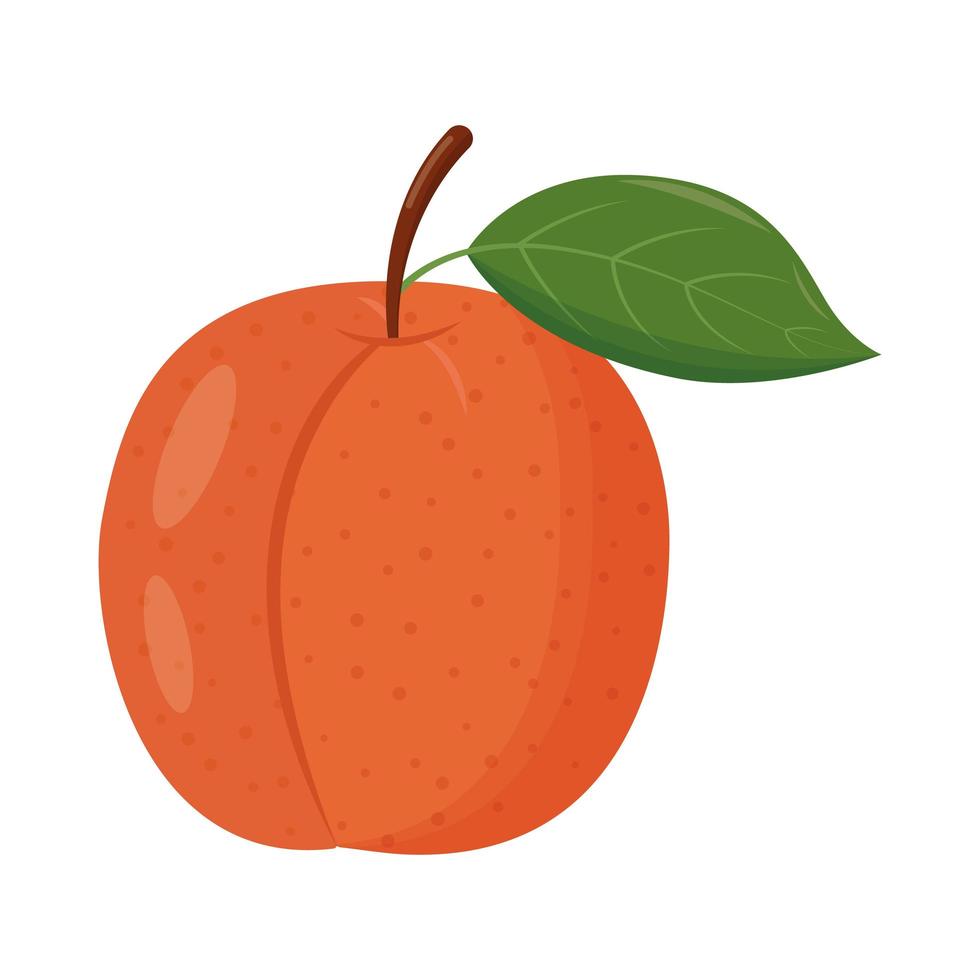 hele oranje perzik met groen blad geïsoleerd op een witte achtergrond. platte vectorillustratie vector