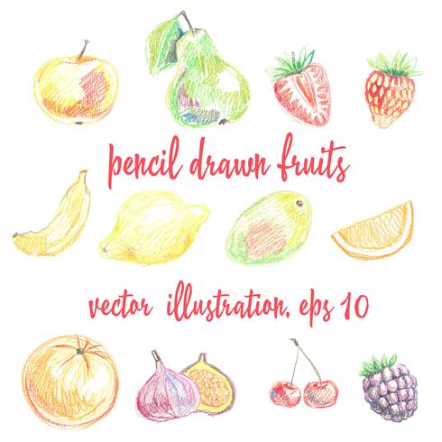 Set van potlood getekende fruit en bessen. Vrije-stijltekenen vector