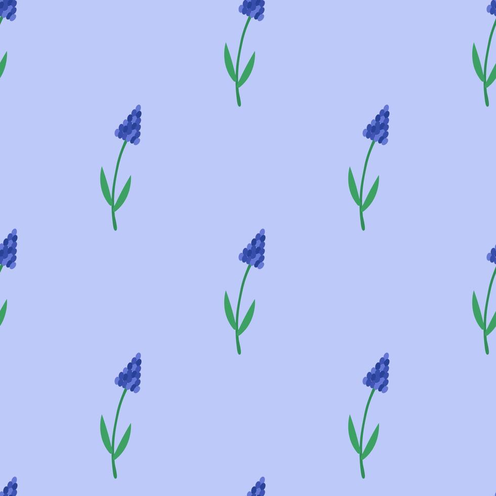 naadloze patroon met lente muscari bloemen op een blauwe achtergrond. vector achtergrond voor afdrukken op papier, stof, verpakking.