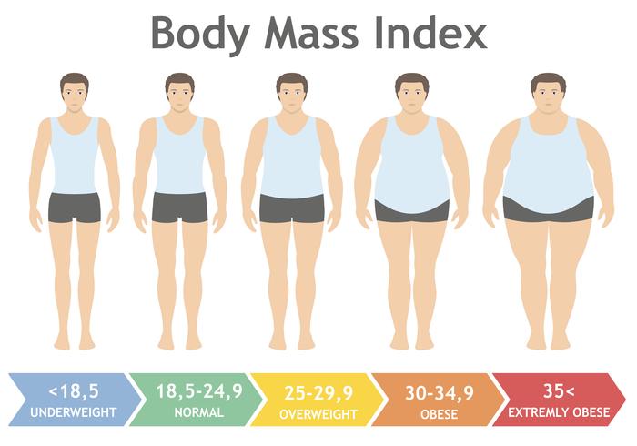 Body mass index vectorillustratie van ondergewicht tot extreem zwaarlijvig in vlakke stijl. Man met verschillende zwaarlijvigheidsgraden. Mannelijk lichaam met ander gewicht. vector