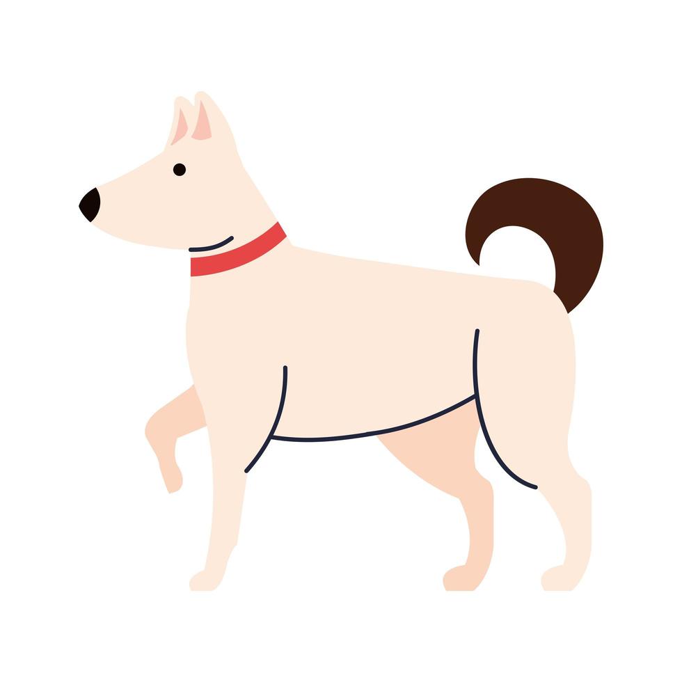 geïsoleerde hond mascotte vector ontwerp