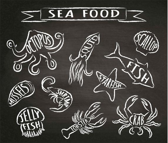 Zeevruchten krijt contour vectorillustraties op blackboard, elementen voor restaurant menu ontwerp, decor, label. Krijt getextureerde grunge contouren van zeedieren met namen. vector