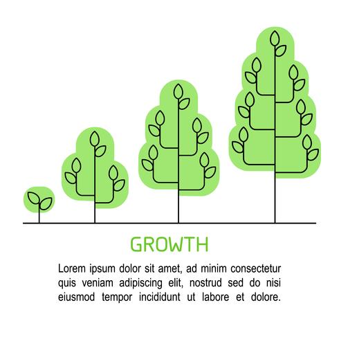 Boom groeiproces infographics. Groei concept lijntekeningen pictogrammen. vector