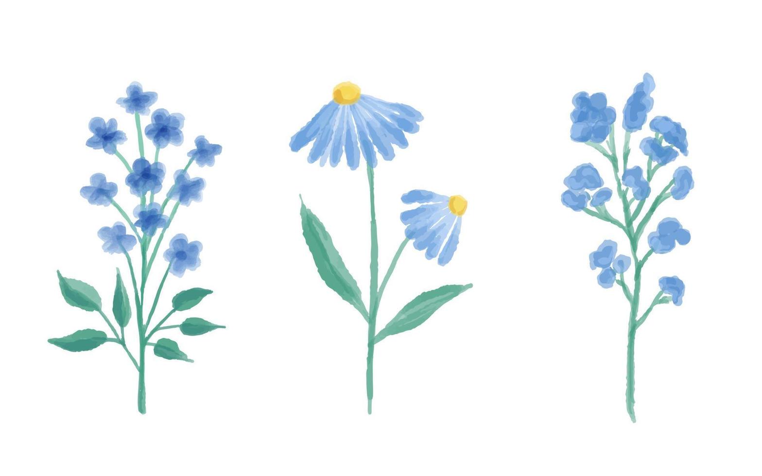 set van wilde bloemen. botanische collectie. wilde bloemen, kruiden, bladeren. tuin en wild gebladerte, bloemen. vectorillustraties. vector