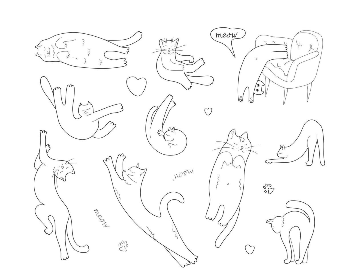 een set grappige kattenhoudingen in doodle-stijl vector