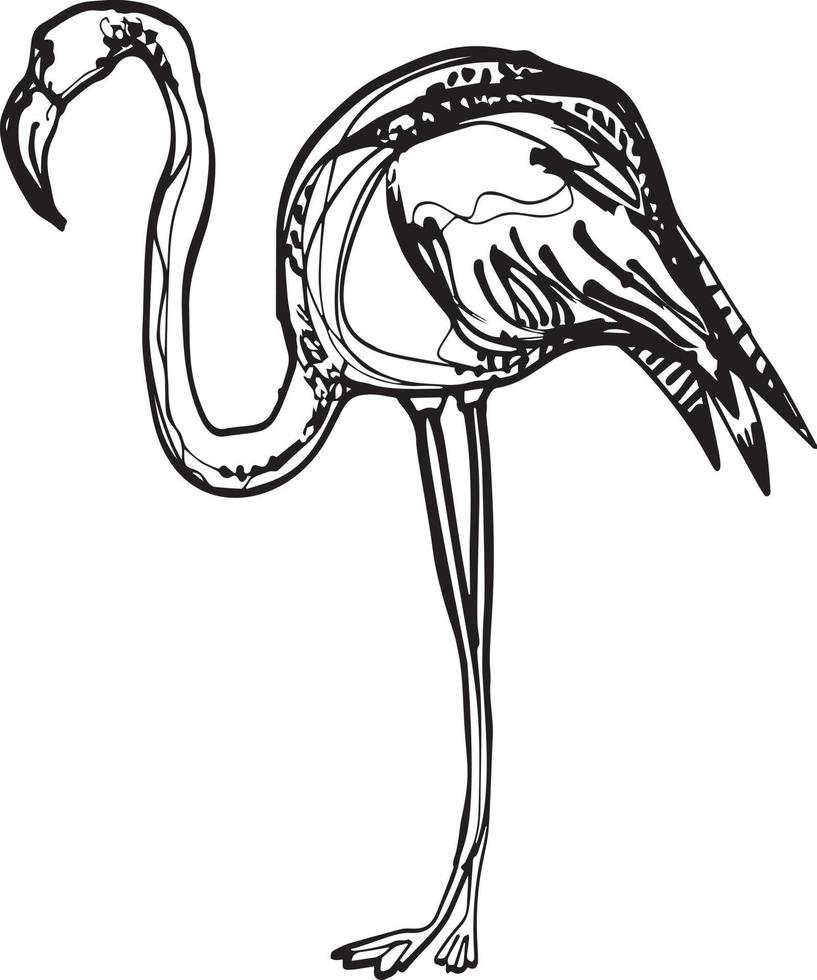 roze flamingo's. bezet met flamingo's. exotische vogels. voorraad vectorillustratie met paradijsvogels. vector