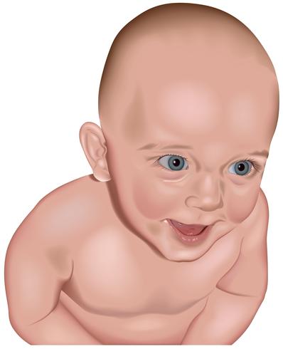 Blij Kaukasische baby vector