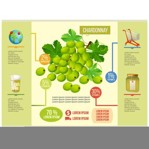 chardonnay infographic vector