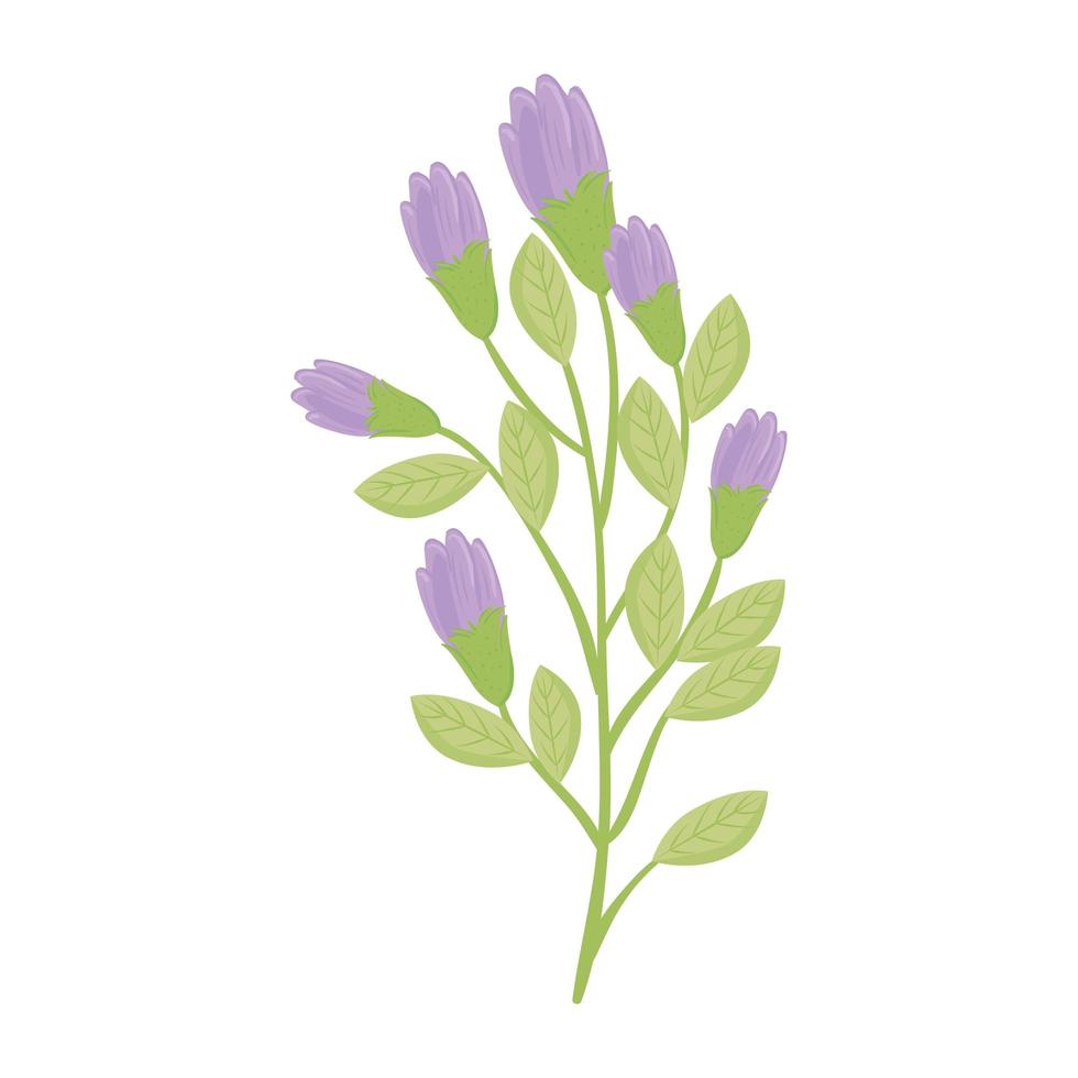 paarse bloemen met bladeren vector ontwerp
