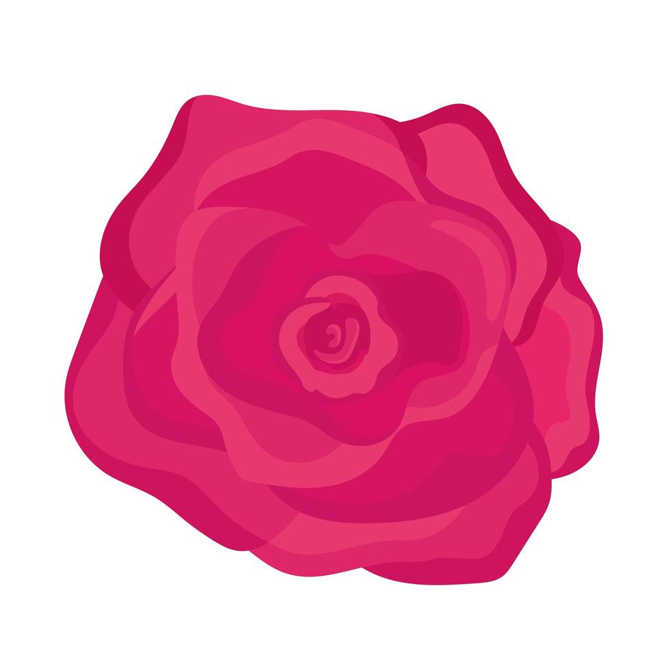 schattige roze roos vector