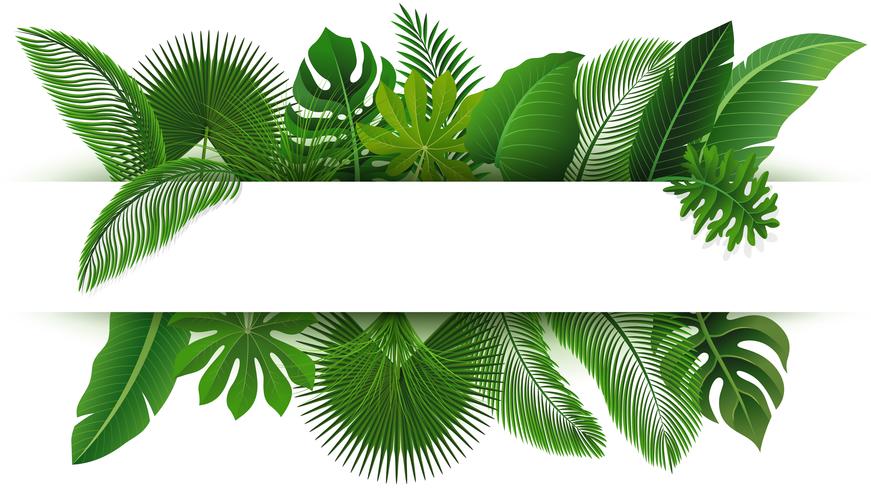 Bord met tekst ruimte van tropische bladeren. Geschikt voor natuurconcept, vakantie en zomervakantie. Vector illustratie