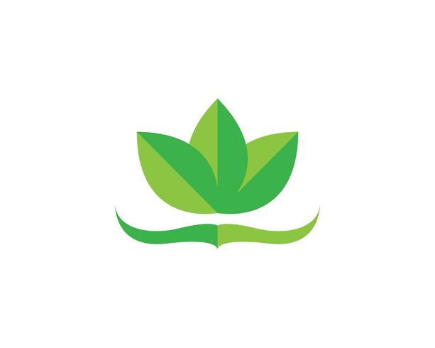 Lotus bloem logo en symbolen vector sjabloonpictogram