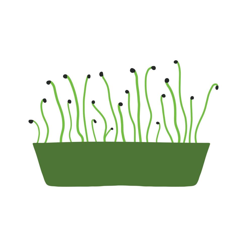 pot met microgroenten. microgreens erwten, radijs, ui, rucola. zonnebloem, bieten en anderen. vectorillustratie geïsoleerd op een witte achtergrond. getekende stijl. vector