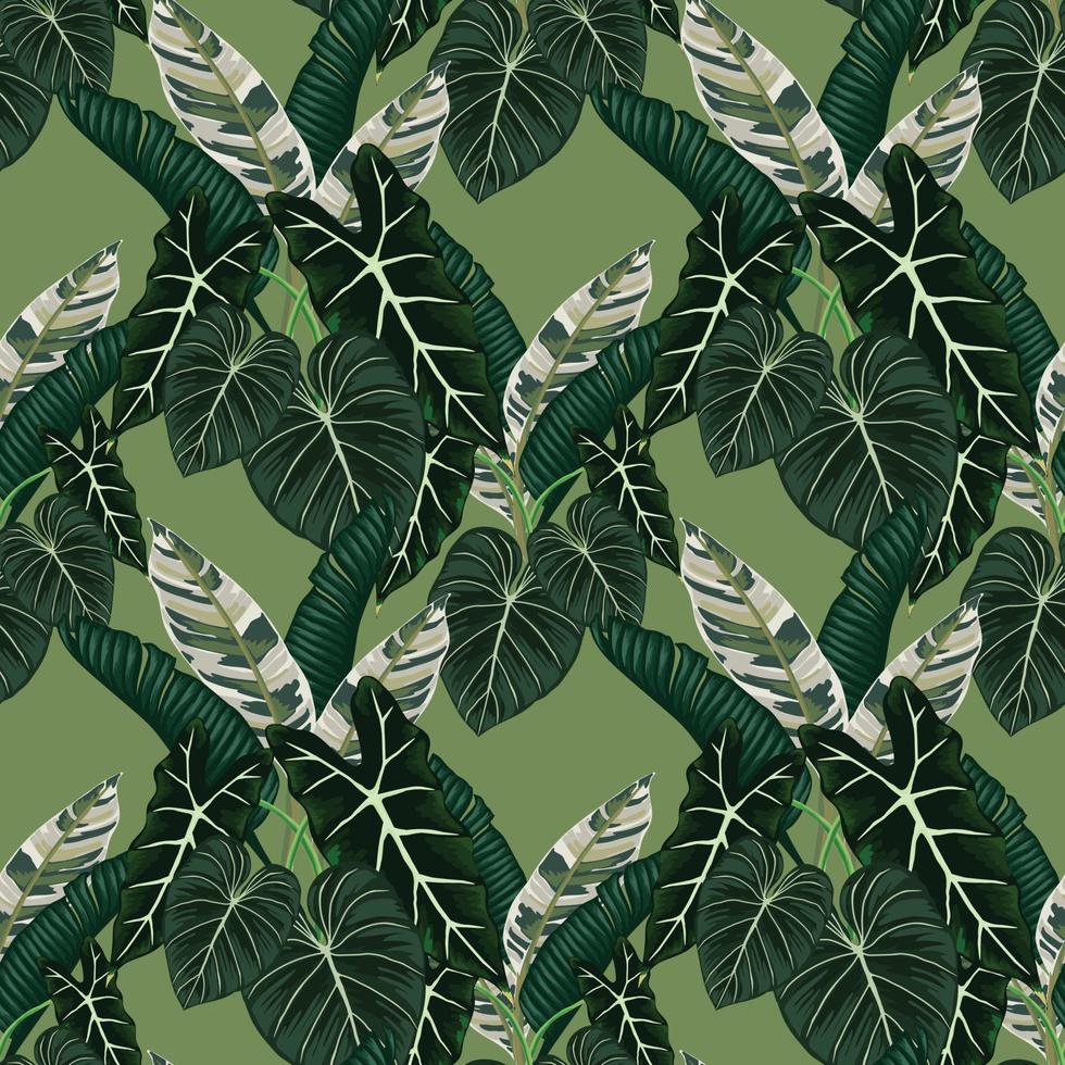exotische tropische bladeren naadloos kunstontwerp vector