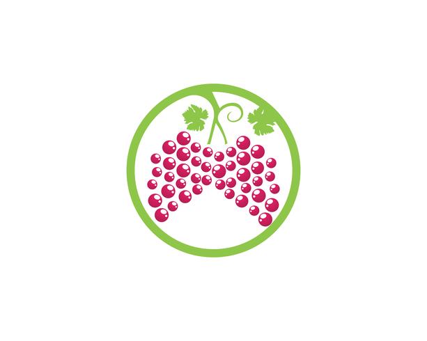 druiven paars en groen vector illustratie