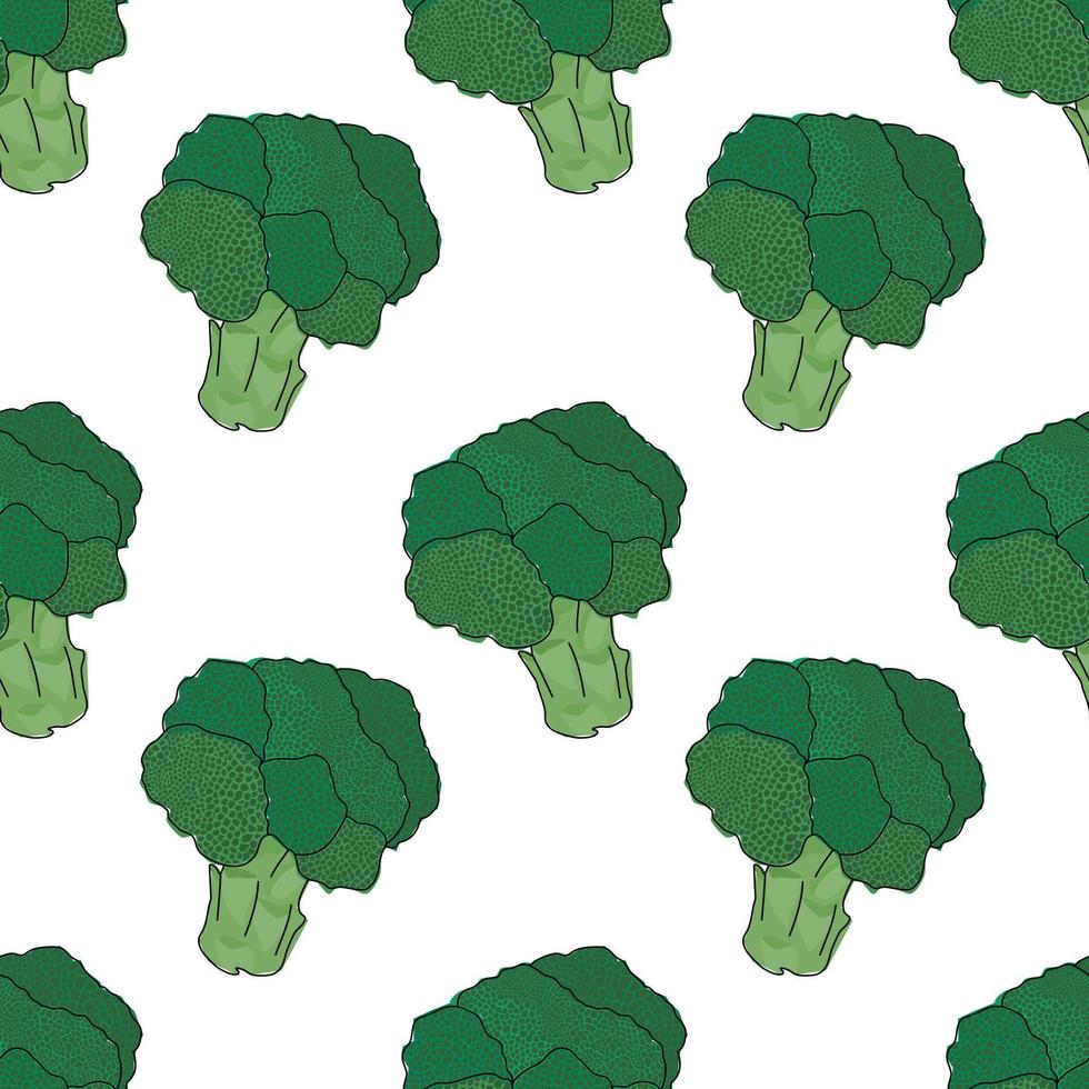 naadloze broccoli. naadloos patroon. broccoli met witte achtergrond. handgetekende vector. patronen voor decoratie. vector