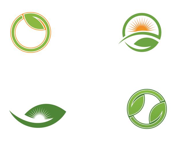 Tree Leaf green Vector icon Illustratie ontwerpsjabloon