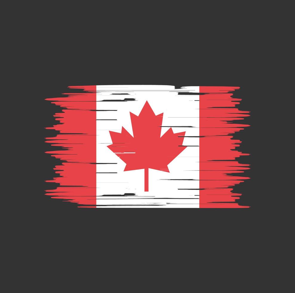 Canadese vlagborstel. nationale vlag vector