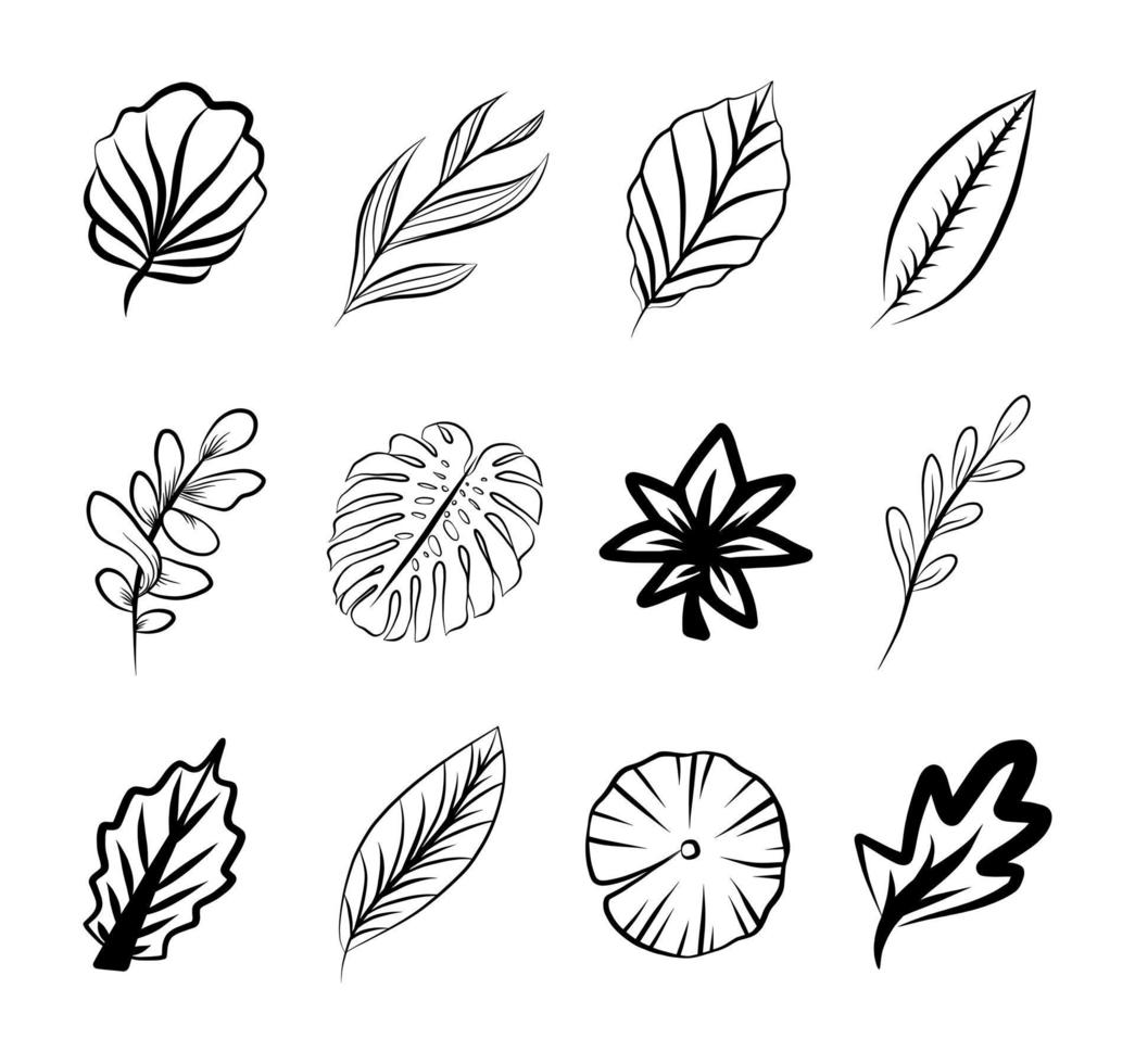 overzicht bladeren pictogrammenset, geïsoleerde vector kruiden botanische planten collectie, doodle tekening grafisch ontwerpelement, logo schets sjabloon. blad boomtak elegante print.