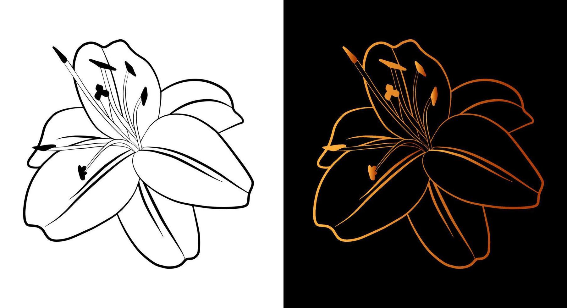 lelie bloem overzicht pictogram, eenvoudige doodle schets lijn kunststijl, zwart en goud bloemen plantkunde set. schoonheid elegant logo-ontwerp. grafische geïsoleerde symbooltekening. platte vorm, bruiloft print tattoo kaart. vector