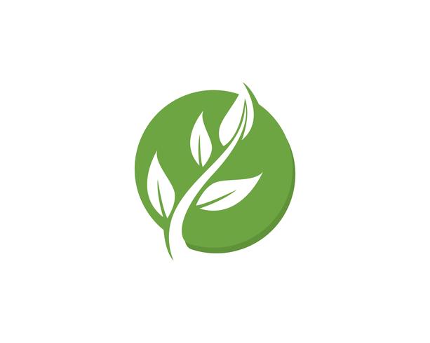 groene blad ecologie natuur element vector