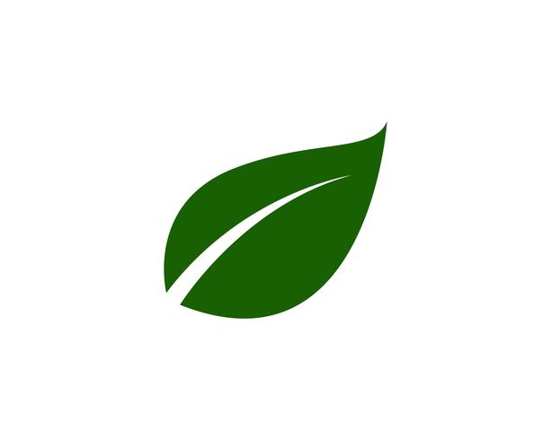 groene blad ecologie natuur element vector