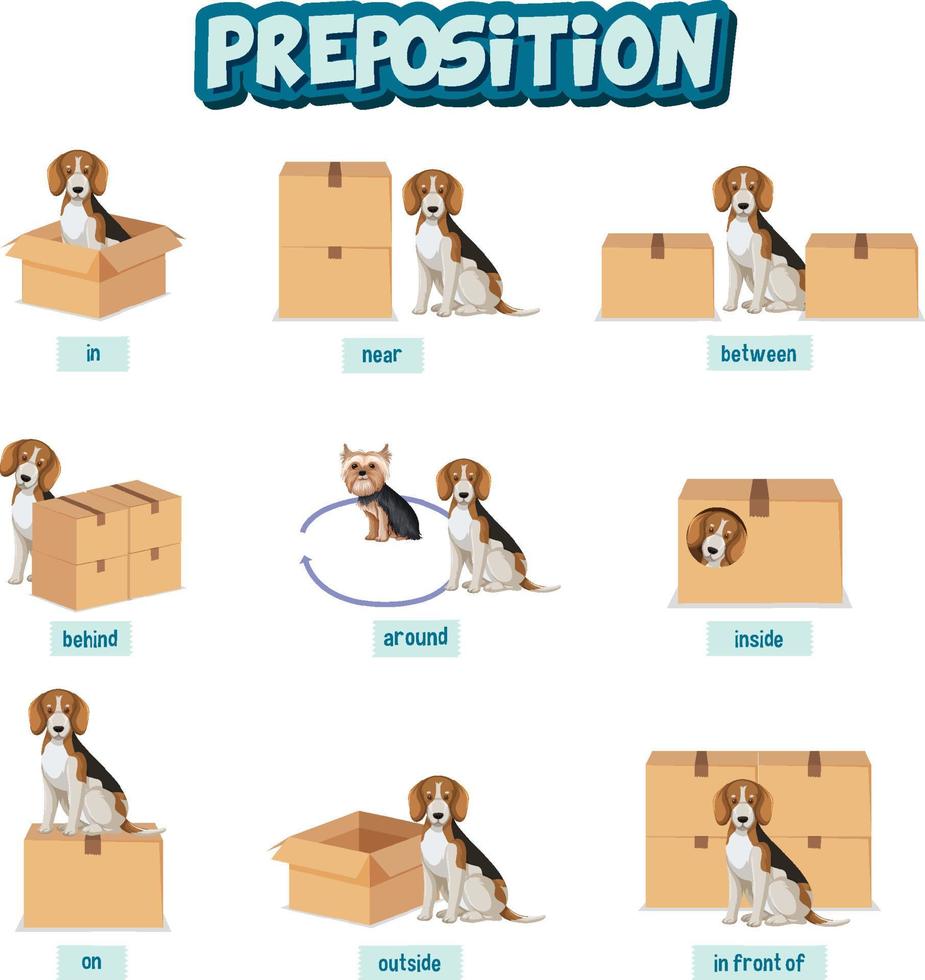 prepostion woordkaartontwerp met hond en dozen vector