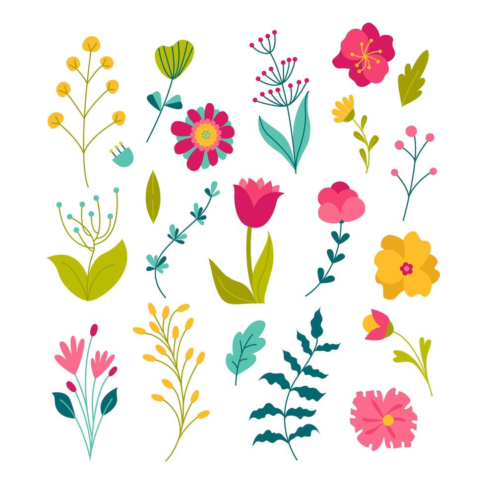 lente bloemen. zomer en lente bloesem bos en tuin bloemen veld geïsoleerd op een witte achtergrond. bloemen set. natuur lente bloem. vector illustratie