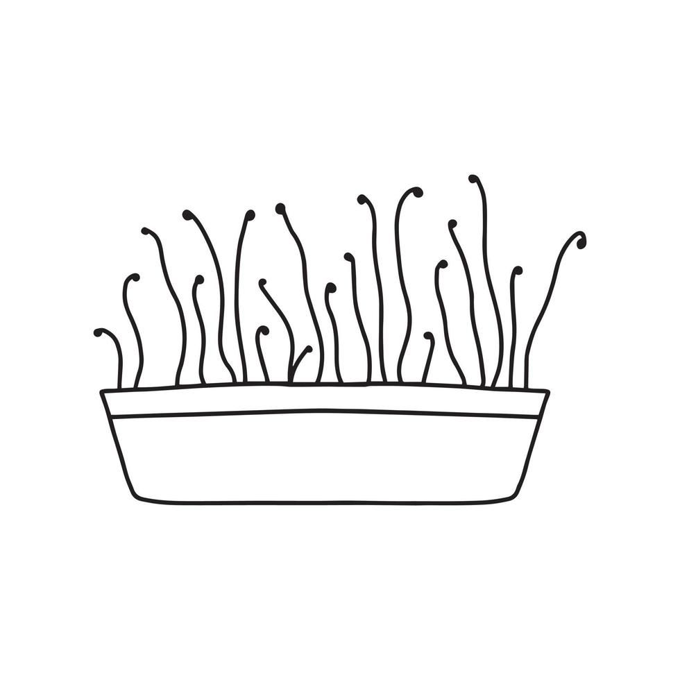 pot met microgroenten. microgreens erwten, radijs, ui, rucola. zonnebloem, bieten en anderen. vectorillustratie geïsoleerd op een witte achtergrond. doodle stijl. vector