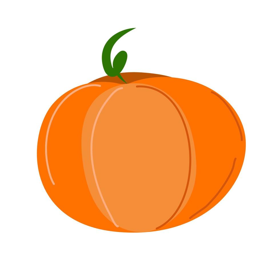 oranje en rijpe pompoen op een witte achtergrond. vector