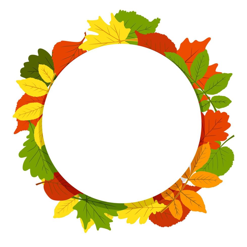 een frame gemaakt van herfstbladeren. de bladeren zijn eik, berk, esp, esdoorn. herfst thema. ruimte om te kopiëren. toepasbaar voor afdrukken, posters, ansichtkaarten, websites. vectorillustratie. vector