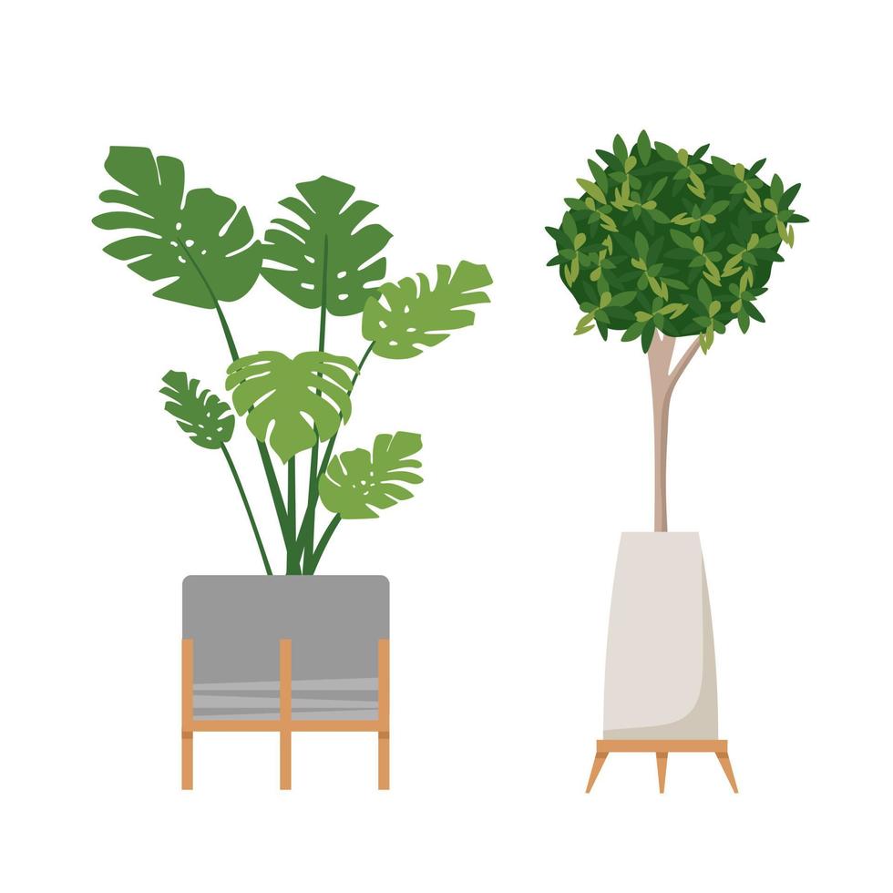 een set stijlvolle modieuze kamerplanten voor in huis. geïsoleerd op een witte achtergrond. dracaena, monstera, buxus, spatifilum, ficus benjamin, ananas, zamiokulkas. kleur platte vector