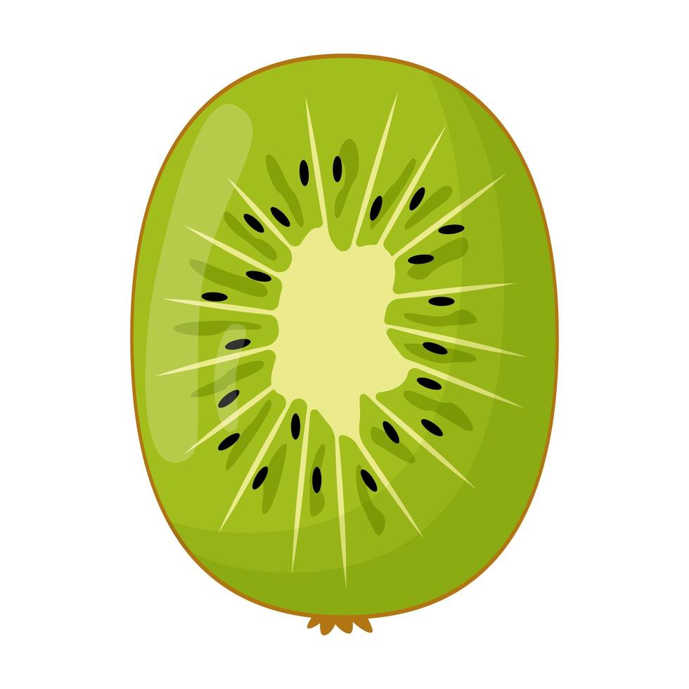 de helft van de kiwi op een witte achtergrond. platte vectorillustratie vector