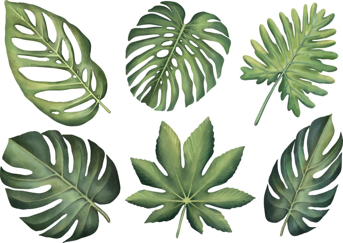 tropische set van planten op een witte achtergrond. aquarel handgeschilderd, zomer clipart, palmbladeren vector