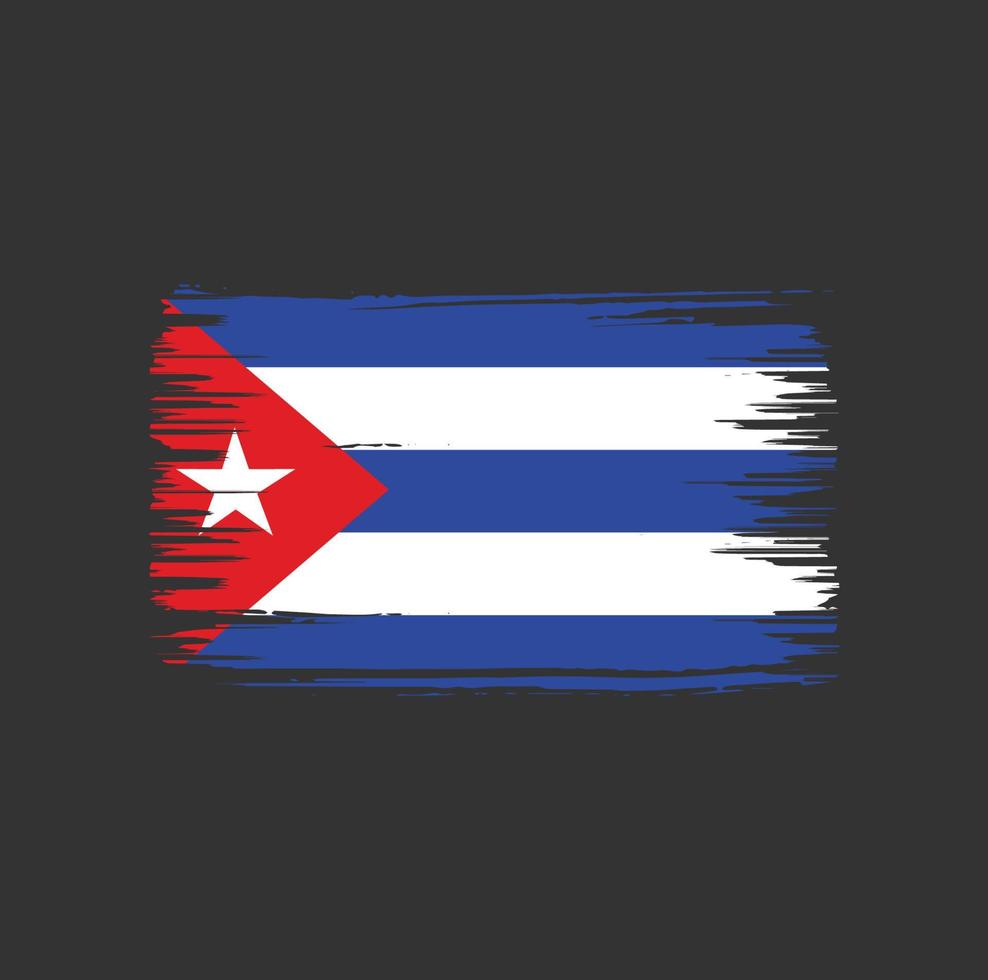 Puerto Rico vlag borstel ontwerp. nationale vlag vector