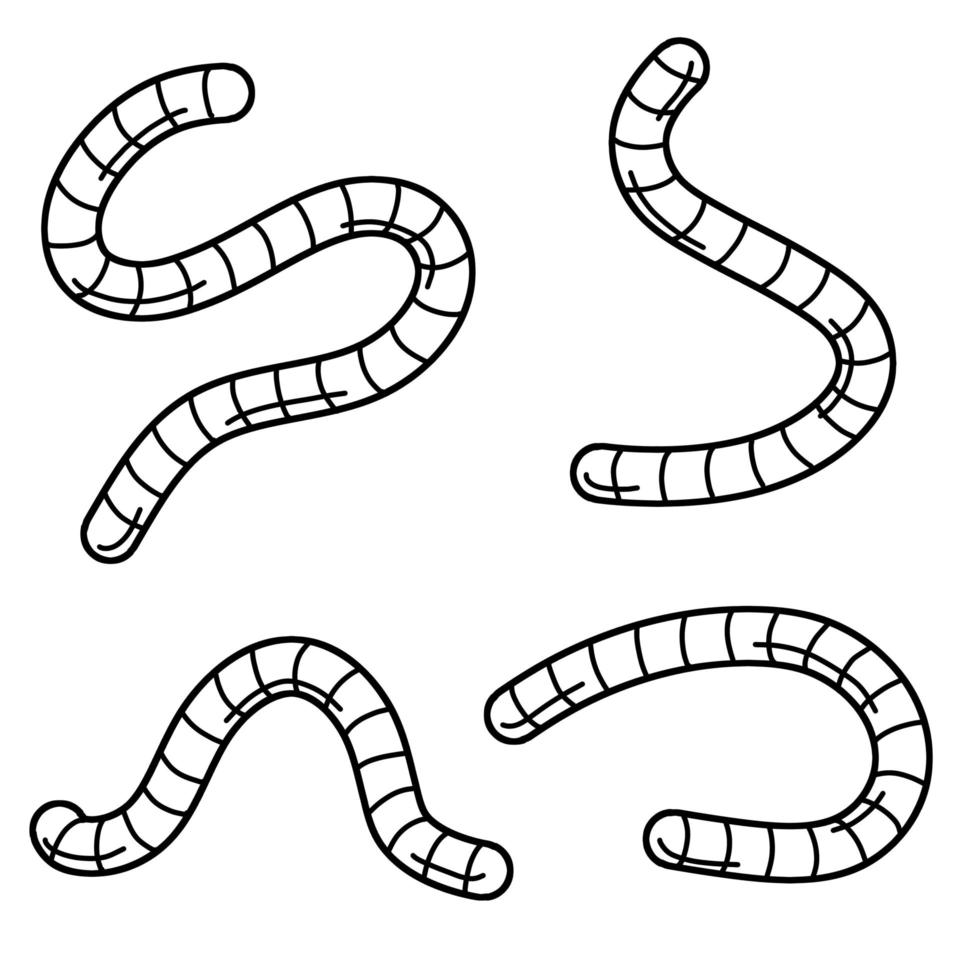regenworm. insecten worm set. aas om te vissen. vector