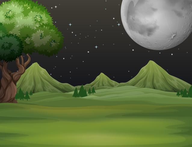 Groen veld &#39;s nachts vector