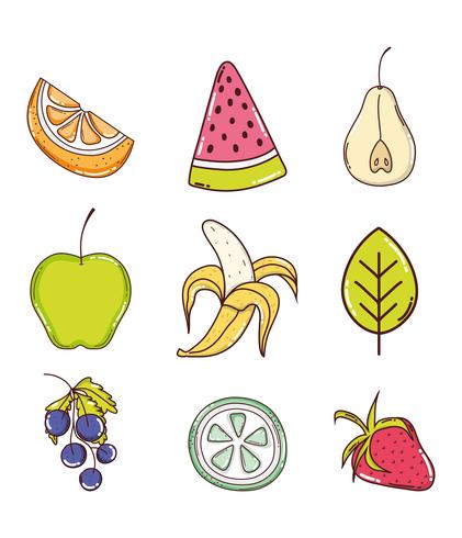 Set van fruit collectie vector