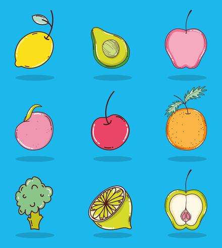 Set van fruit collectie vector