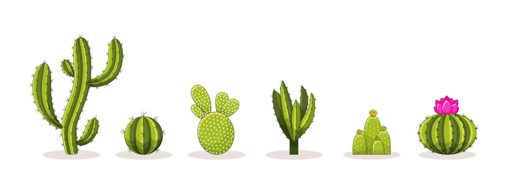 set van cactussen met doornen en bloemen. Mexicaanse groene plantcactus met stekels. element van de woestijn en het zuidelijke landschap. cartoon platte vectorillustratie. geïsoleerd op witte achtergrond vector