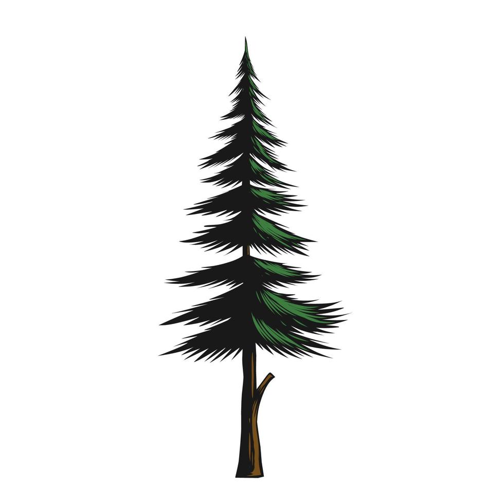 illustratie van een dennenboom vector